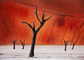 دره های Namib در نامیبیا