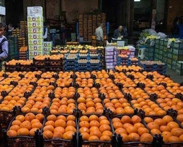 ذخیره سازی 469 تن پرتقال در استان قزوین ذخیره سازی 469 تن پرتقال در استان قزوین