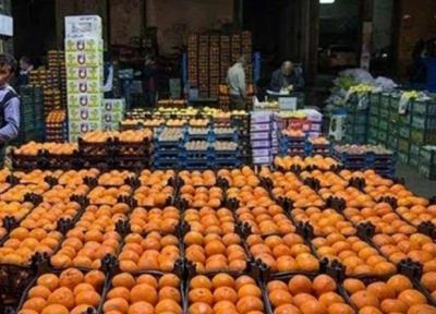 ذخیره سازی 469 تن پرتقال در استان قزوین