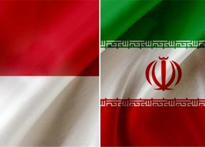 تاکید وزرای اقتصاد ایران و اندونزی بر اتصال نظام بانکی دو کشور