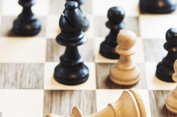 عملکرد گزینه سرمربیگری فدراسیون شطرنج ضعیف تر از مقصودلو بود