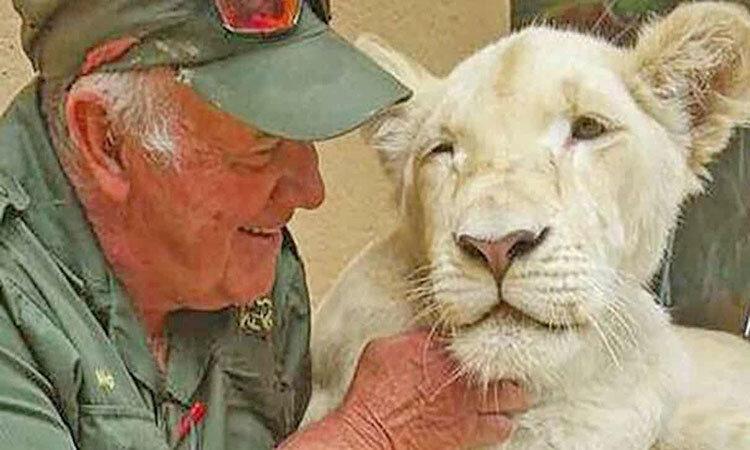 شیر سفید آفریقایی مراقب مهربان خود را کُشت