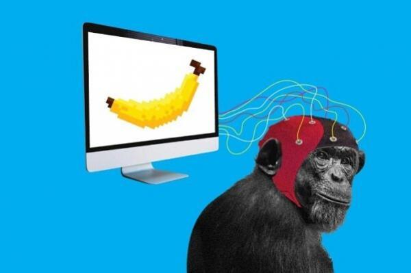 میمون ها اجرای بازی های ویدئویی را یاد گرفتند!