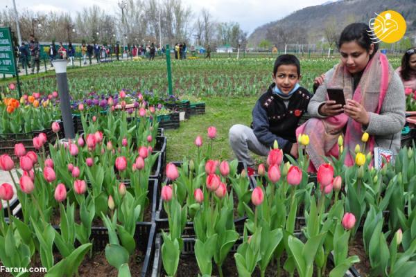 (تصاویر) بزرگترین باغ گل لاله آسیا