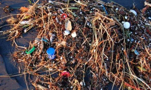 آلودگی های ناشی از پلاستیک علاوه بر آسیب به ماهی ها، تنفس انسان را هم مختل می نمایند