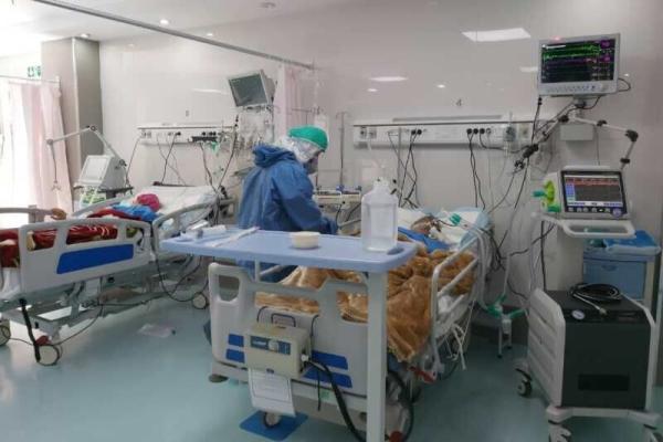 اعلام مبتلایان قطعی به بیماری وبا در ایران ، 85 درصد مبتلایان در این 2 استان