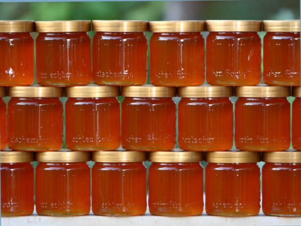 رشد 50 درصدی قیمت عسل ، عسل ارگانیک کیلویی چند؟